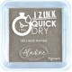 Encre Izink Quick Dry argent 4 Cm x 4 Cm | Tamporelle tampons personnalisés