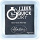 Encre Izink Quick Dry noir 4 Cm x 4 Cm | Tamporelle tampons personnalisés