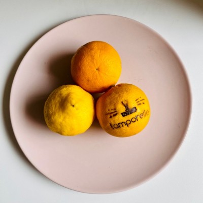 Marquage à chaud fruits | Tamporelle