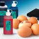 Encre marquage des oeufs 100 ml  Noris